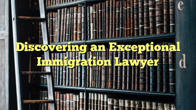 Discovering an Exceptional Immigration Lawyer