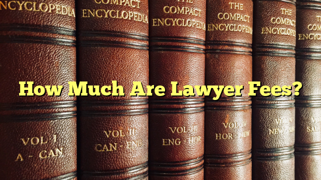 How Much Are Lawyer Fees?