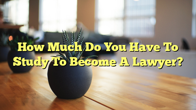 How Much Do You Have To Study To Become A Lawyer?