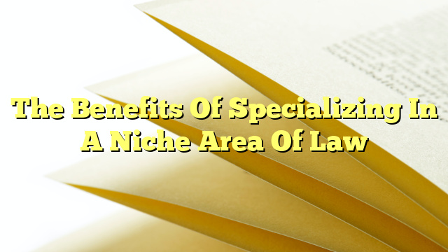 The Benefits Of Specializing In A Niche Area Of Law