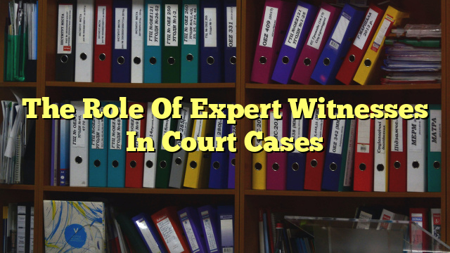 The Role Of Expert Witnesses In Court Cases