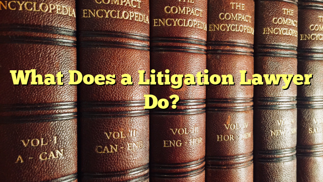 What Does a Litigation Lawyer Do?