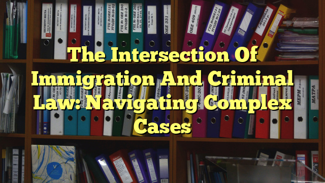 The Intersection Of Immigration And Criminal Law: Navigating Complex Cases