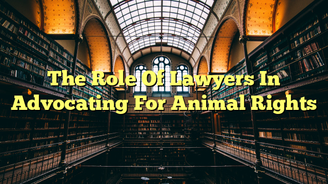The Role Of Lawyers In Advocating For Animal Rights