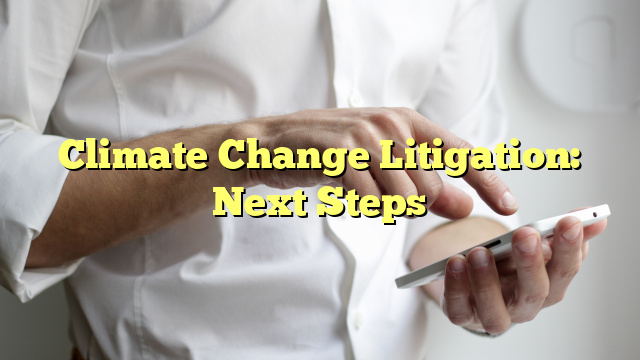Climate Change Litigation: Next Steps