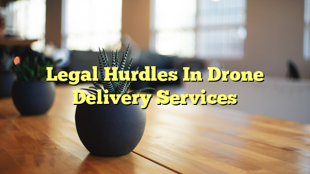 Legal Hurdles In Drone Delivery Services